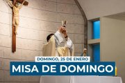 La iglesia celebra este domingo el Domingo de la Palabra de Dios, instituido por Francisco en 2019.