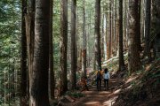 Dos personas contemplan la belleza del bosque