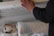 Los servicios funerarios para mascotas a veces incluyen ataúd y velatorio... cuanto más imite a las honras dedicadas a humanos, más debe hacer pensar