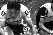 De izquierda a derecha, José Manuel Fuente, Eddy Merckx y Gianbattista Baronchelli, en el Giro de 1974.