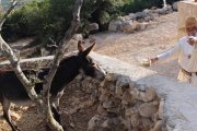 Béatrice vive en una montaña entre la frontera libanesa e isarelí desde donde reza por la paz y la reconciliación