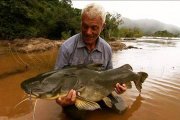 Jeremy Wade, del programa de TV Monstruos de Río, con un pez gato del Nilo... en Jerusalén los comían aunque Levítico lo prohibía