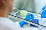 La ciencia experimental nos habla de las cosas, pero no tiene respuesta para el por qué o el para qué de las cosas. Foto: ThisIsEngeneering RAEng / Unsplash.