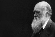 El Día de Darwin es buen momento para recordar a 3 pensadores católicos que se le adelantaron en varios aspectos