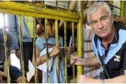 El misionero Shay Cullen y la Fundación Preda rescatan niños de la prostitución y trabajan en sanar sus heridas