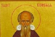 San Comgall.