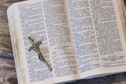 Casi todos los ‘libritos’ contenidos en la Biblia resultan inhóspitos para cualquier persona que los aborde sin la guía debida. Foto: Hnacarolina / Cathopic.com