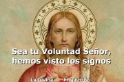 Buscar el Signo que es Cristo