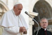 El Papa Francisco en su catequesis  pública animó a orar con los Salmos