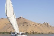 El tesoro de la viña (III): aprender a convivir