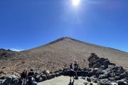 El tesoro de la viña IV: aprender a ser