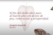 La felicitación de este año del rector de la Universidad Complutense de Madrid sustituye la Navidad por el 'fin del otoño'.  Un caso de despropósito 'homérico', similar al descrito en este artículo.