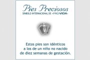 Pies Preciosos, el pin provida que refleja la realidad del aborto: así son los de un ser humano de diez semanas en el seno materno.