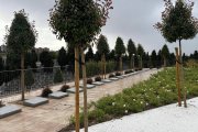 El espacio está compuesto por un amplio lugar de columbarios en pared, columbarios arbusto y una zona ajardinada con rosas híbridas iceberg de color blanco destinada al esparcimiento de cenizas.