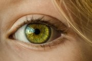 Ojo humano
