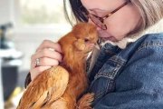 Emily Zanotti, con una de las gallinas que cría en su pequeño olivar.