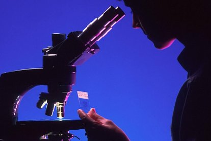 La investigación científica contemporánea no aleja de Dios, sino que acerca a Él.