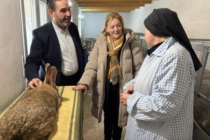 En las instalaciones del convento viven 36 animales —20 hembras y 16 machos—.