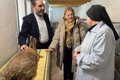 En las instalaciones del convento viven 36 animales —20 hembras y 16 machos—.