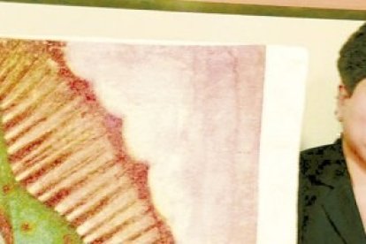 La señora María de Jesús ha dedicado casi 3 años a bordar una enorme imagen de la Guadalupana