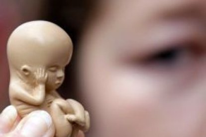 ¿Puede un ser humano, aunque esté ya muerto, usarse como mero recurso económico?