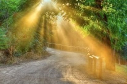 Espiritu Santo, enséñame serenidad