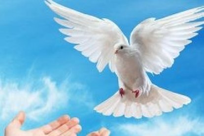 Espíritu Santo, ven a mí