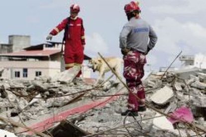 Bomberos y rescatadores con un perro buscan supervivientes entre los cascotes del terremoto de Ecuador