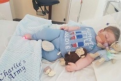 Inesperadamente se ha abierto una posibilidad para evitar la muerte inmediata del pequeño Charlie.