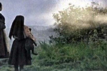 ¿Fue casualidad que la Virgen se apareciese precisamente en lo alto del arbusto de una encina?