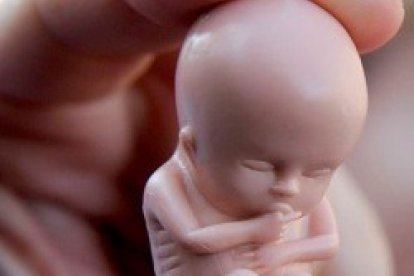 A las 12 semanas los humanos somos así, con 5 centímetros, dedos, corazón...