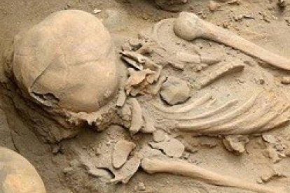 Los resultados de las investigaciones han sido revelados por National Geographic