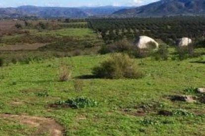 Mike y su esposa han adoptado la espiritualidad austera del peregrino, escuchar a Dios, dejarse asombrar, agradecer lo que hay