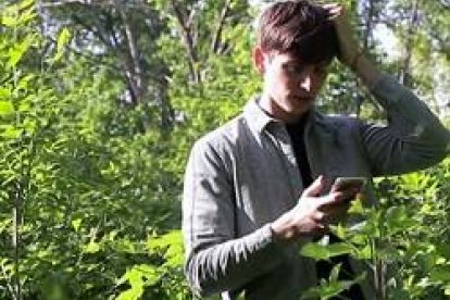 El pecado ecológico sería aquel contra los ecosistemas... el Papa asegura que incluirlo en el Catecismo es algo que estamos pensando en la Iglesia