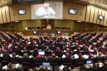 El lunes se presentó el borrador de documento final que ya están trabajando los círculos menores del Sínodo del Amazonas