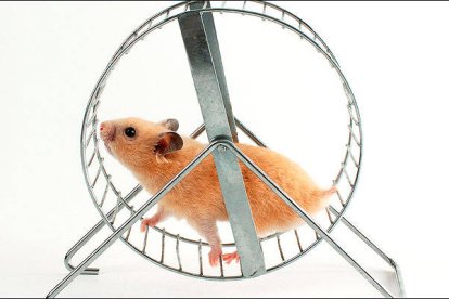 Avanzar no siempre es progresar, y progresar no se sabe lo que es si no se sabe hacia dónde se quiere ir