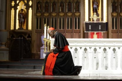 El cardenal Sarah  afirma que seguirá defendiendo la unidad y la verdad en la Iglesia