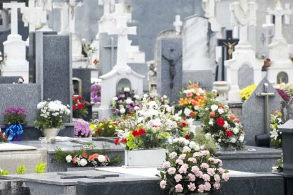 La tradicional indulgencia que se puede ganar en el día de todos los difuntos se puede ampliar a todo noviembre