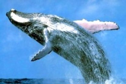 No se le dará... a esta generación.