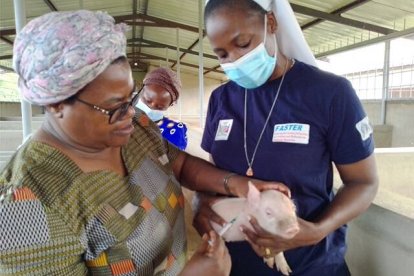 Sor Christabel -con mascarilla- sostiene un cerdito que vacuna su superior, Sor Rosalia Sakayombo, en su granja-escuela premiada