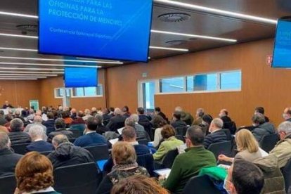 Un encuentro de las oficinas eclesiales para la protección de menores en la Iglesia española
