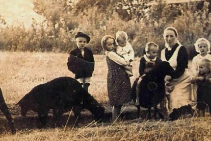 Los pequeños tenían entre uno y ocho años. Uno de ellos fue el niño dado a luz por Wiktoria Ulma en el momento del martirio.