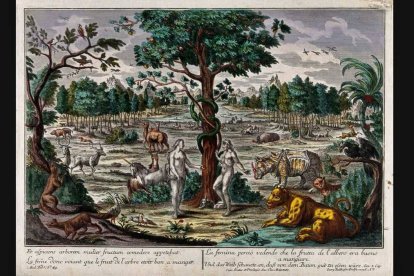 La vieja serpiente seduce a Adán y Eva en el Paraíso, en un grabado del siglo XVIII que lleva el nombre del editor Georg Balthasar Prost.