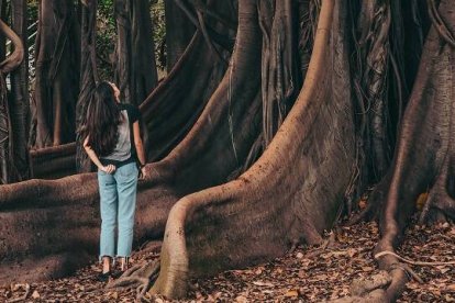 Una joven entre grandes raíces mira a lo alto, frutos lejanos... como la Iglesia - foto de Cristina Gottardi en Unsplash