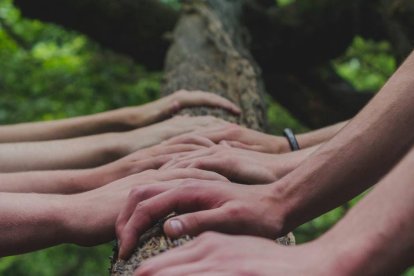 La pluralidad necesita de un referente común para no convertirse en una diversidad de singularidades que se agotan en sí mismas y compiten por prevalecer. Foto: Shane Rounce / Unsplash.