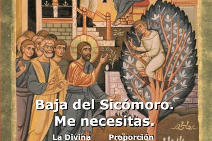 Baja del Sicómoro