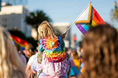 El pleno del Tribunal Constitucional suspende la vigencia y aplicación de los artículos impugnados, entre los que figura el que abre la puerta al asesoramiento psicológico o la evaluación psiquiátrica.