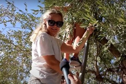 Una madre de familia sueca recoge aceitunas en el Huerto de los Olivos... la Iglesia tiene un uso para ellas
