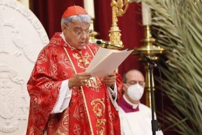El cardenal Semeraro, prefecto de la Congregación para las Causas de los Santos presidió la beatificación de los 16 mártires de Granada