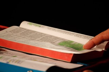 La recepción, conservación y defensa de la Revelación divina lleva al conveniente desarrollo en las comprensión en las verdades de la Fe.